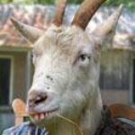 Profile picture of James Lacey