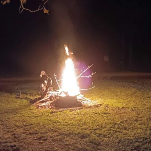 Profile picture of KT